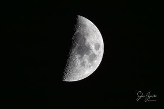 a half-Moon in a dark night sky