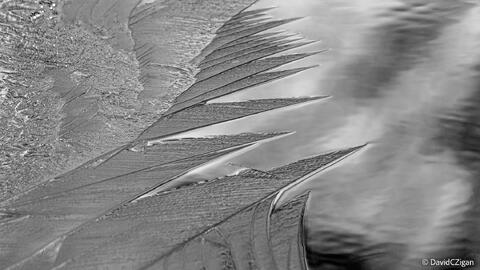 abstract monochrome pattern of ice crystals on freezing water in winter