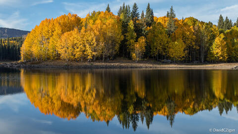 panoramic view of colorful aspen and pine trees in a calm lake