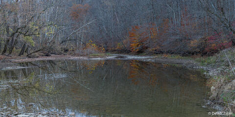 peaceful view of wooded river valley in winter