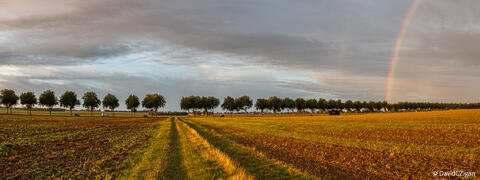panoramic view of fields with a rainbow