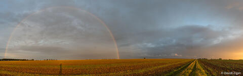 panoramic view of morning light on fields