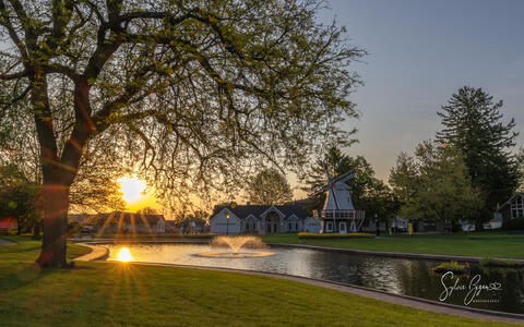 sunrise reflected in water with large tree among houses with a windmill