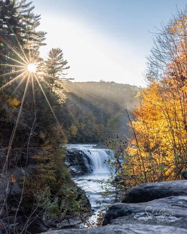 sun starburst over a waterfall in a wooded valley in autumn with mist