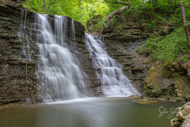 full-frame view of two waterfalls in a wooded valley
