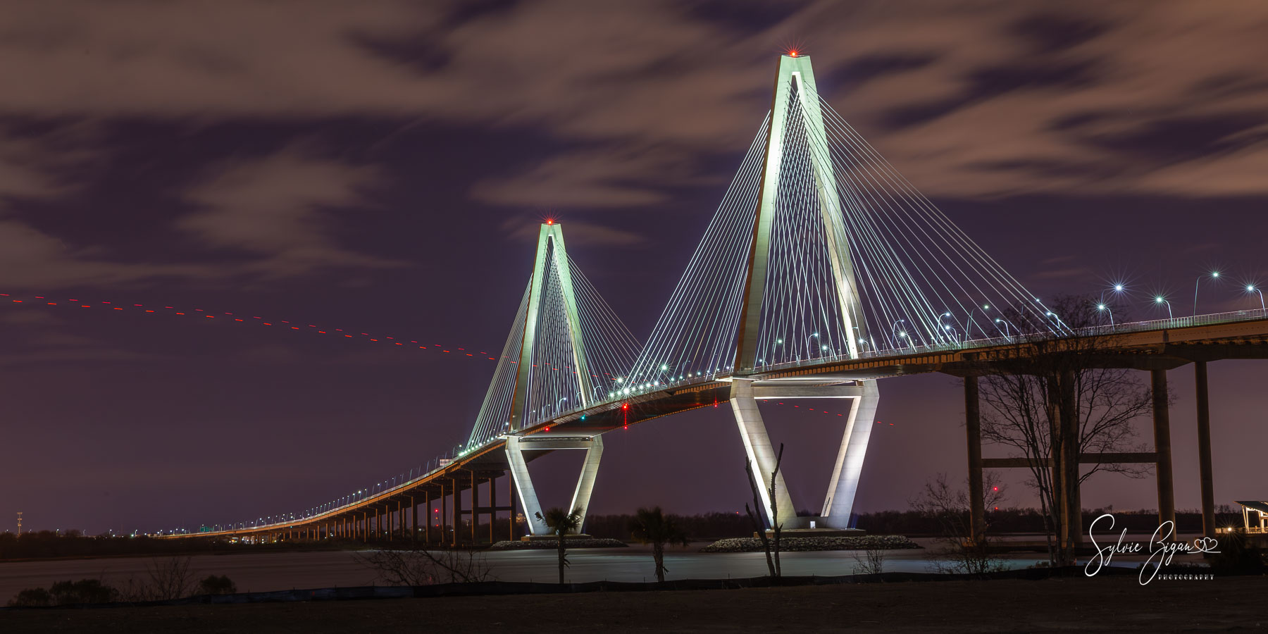 Night's Radiant Spine the-ravenel-bridge-south-carolina-by-night